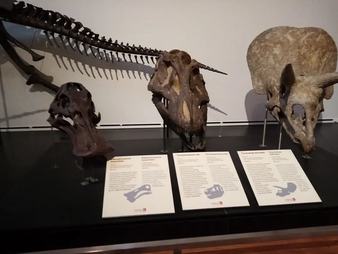 Museo Nacional de Ciencias Naturales