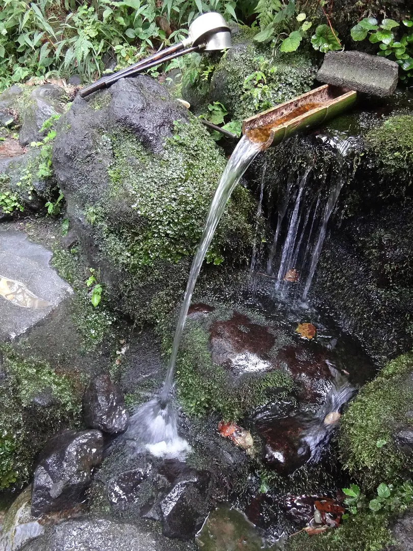 杜々の森名水公園