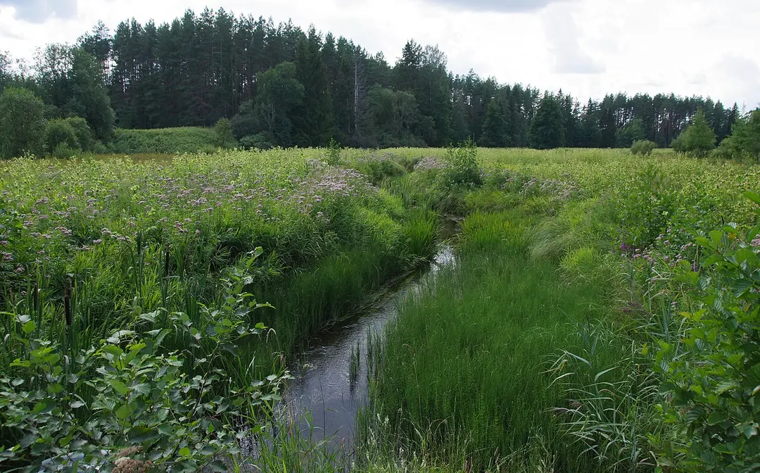 Jänijõgi