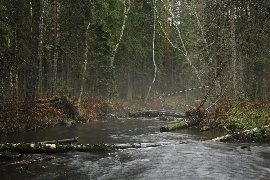 Jänijõgi