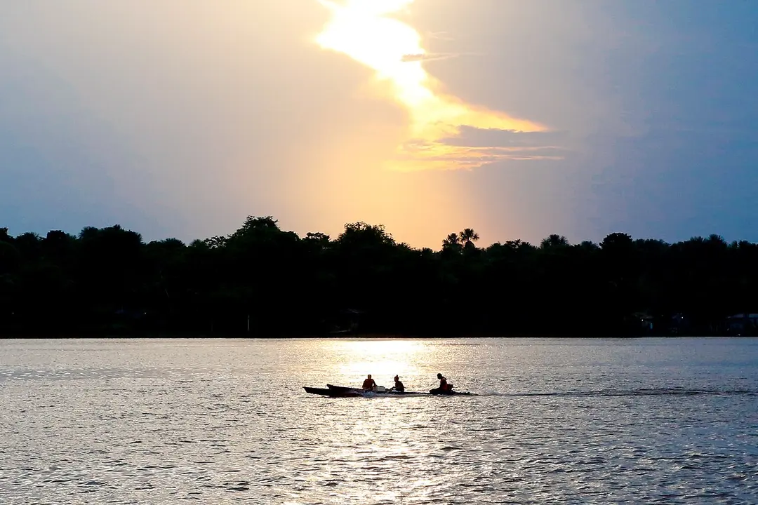 Ilha de Marajó