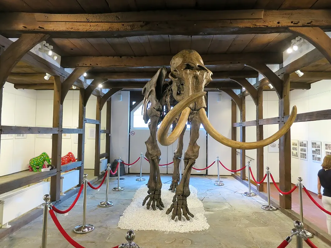 Heimatmuseum