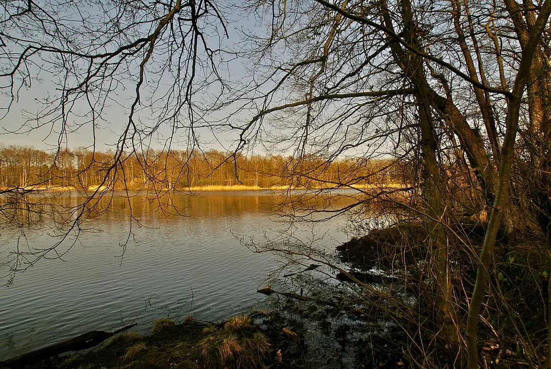 Bredenbeker Teich