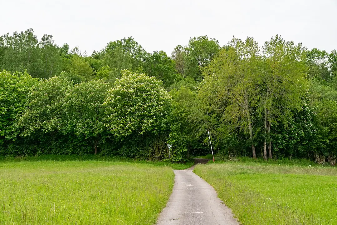 Krähenberg