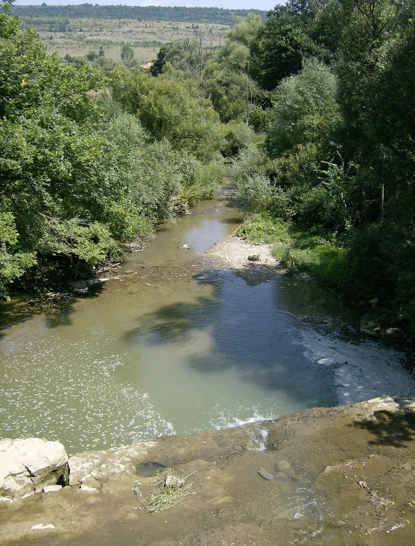 Brestova reka