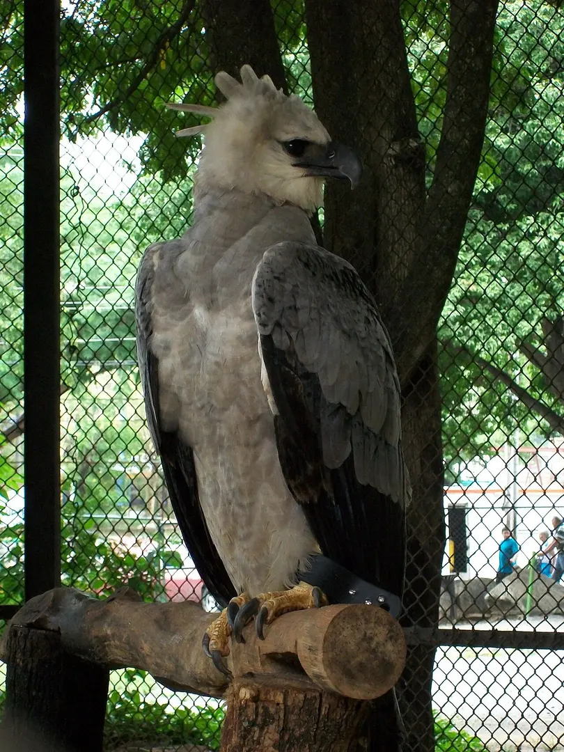Las Delicias Zoo