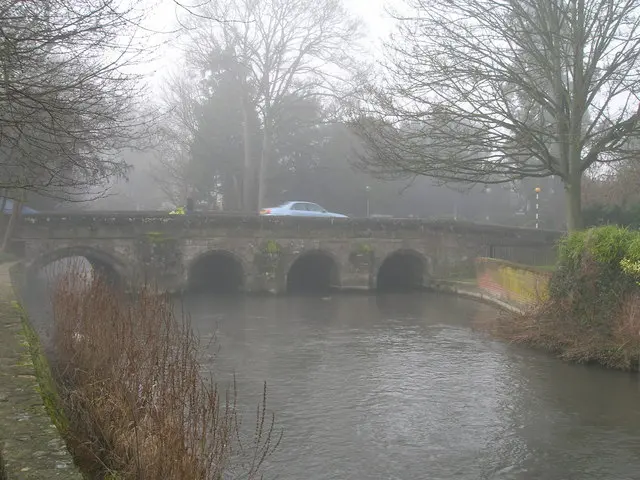 Crane Bridge