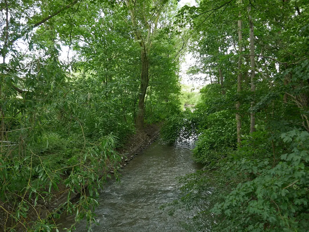 Salzbach-Mittellauf mit Bewerbach