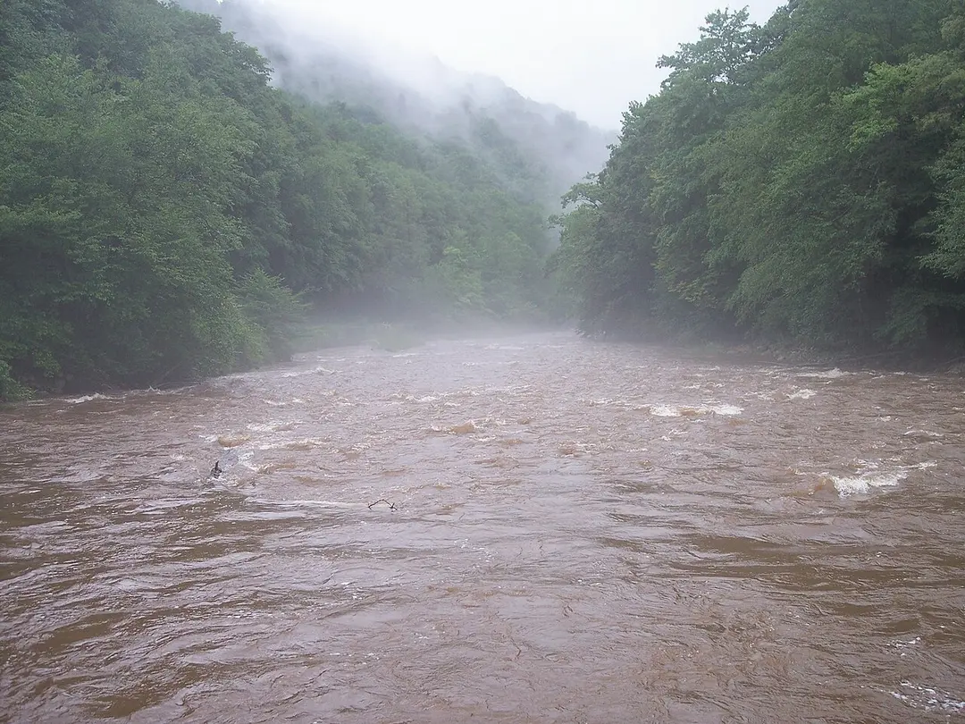 Williams River