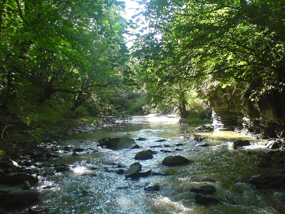 Algeti River