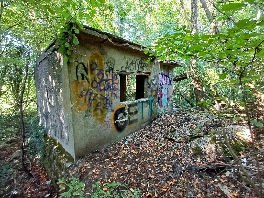 Bennebusch und Lindbusch
