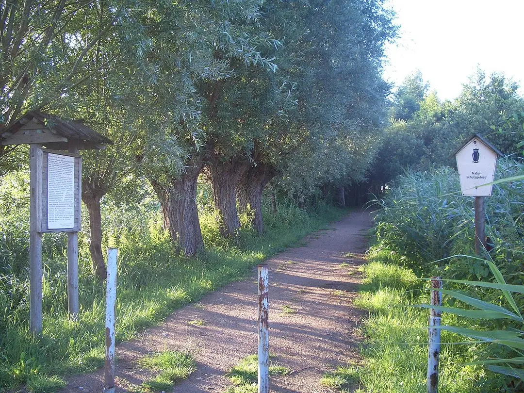 Gotower Moor und Schöninsel