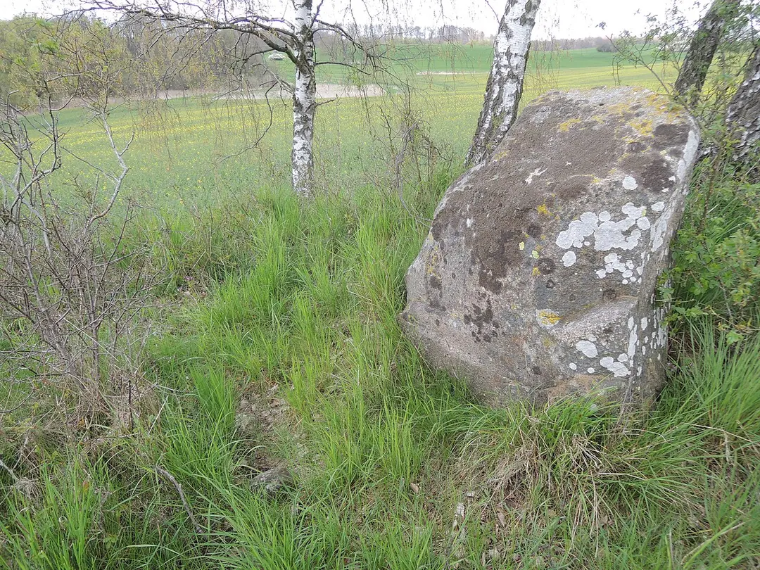 Großsteingrab Wilsen 1
