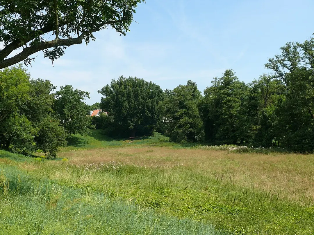 Rehwiese