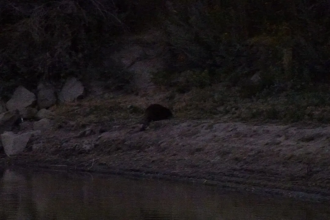 Humboldt River