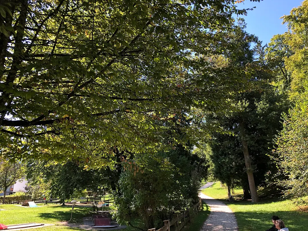 Luitpoldpark