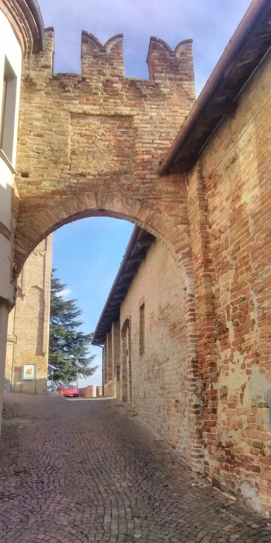Castello dei Roero