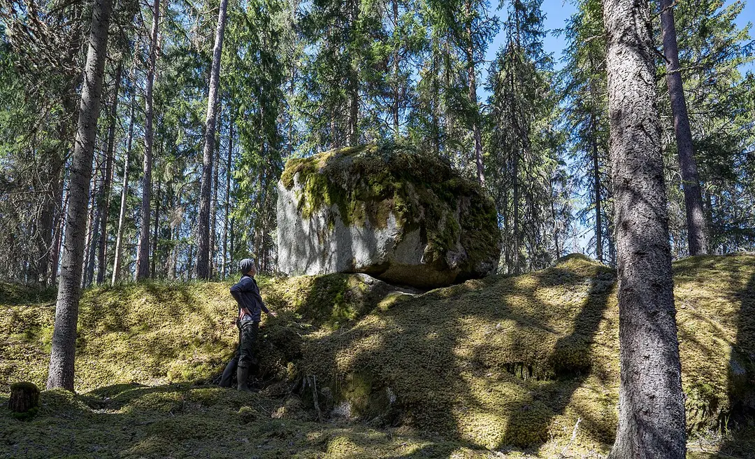 Härsta naturreservat