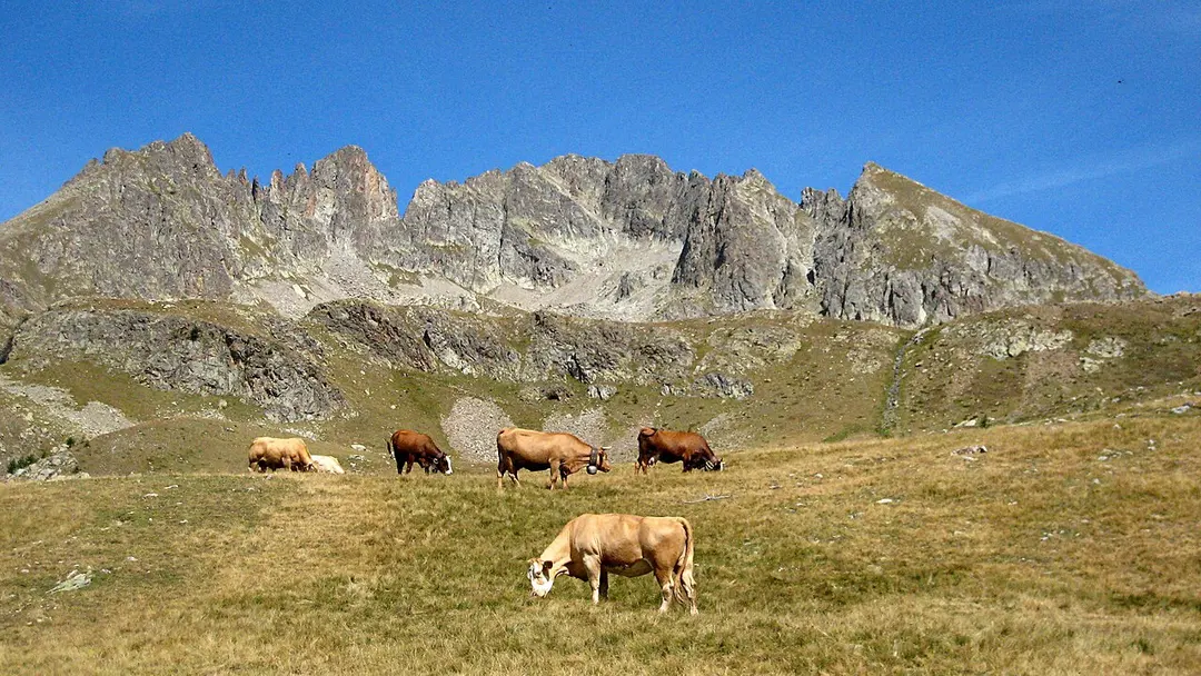 Mont Neiglier
