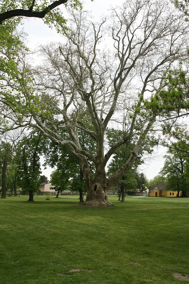 Schlosspark