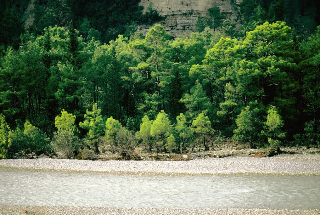 Köprüçay