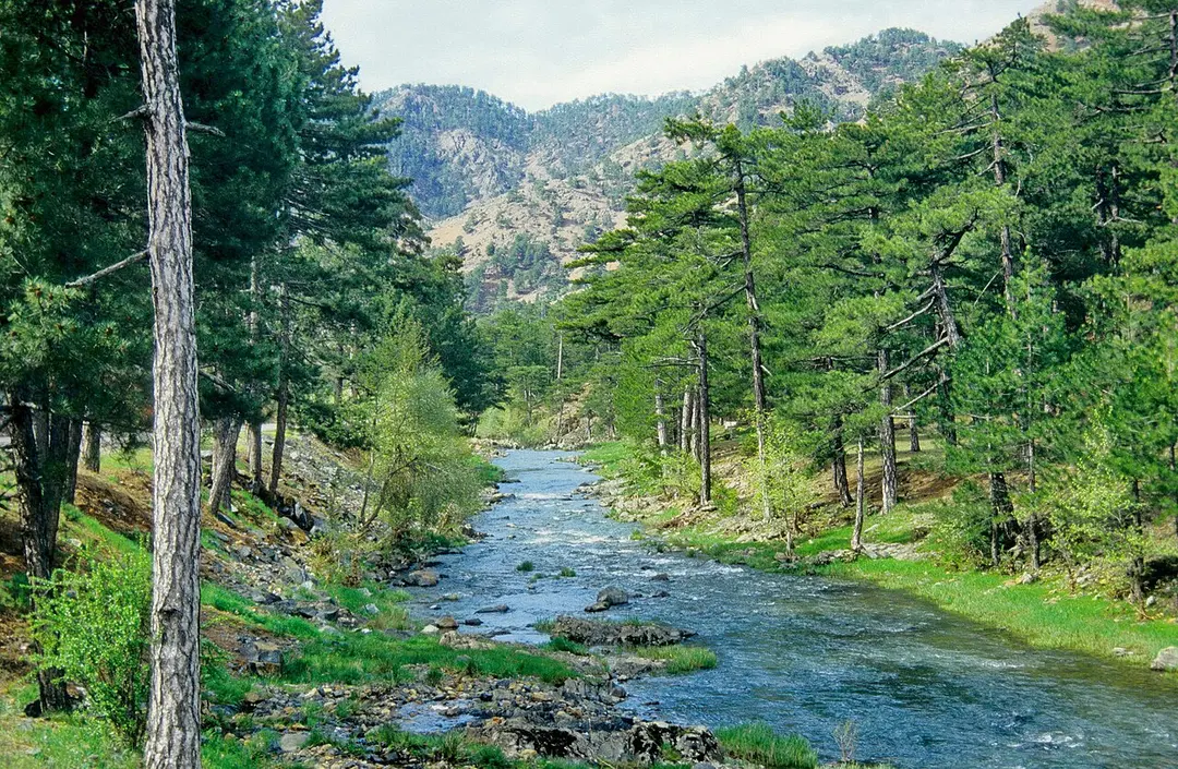 Köprüçay