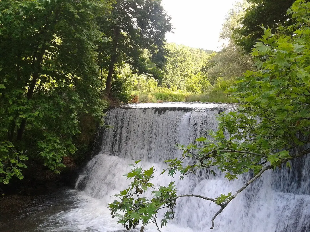 Parvenetska