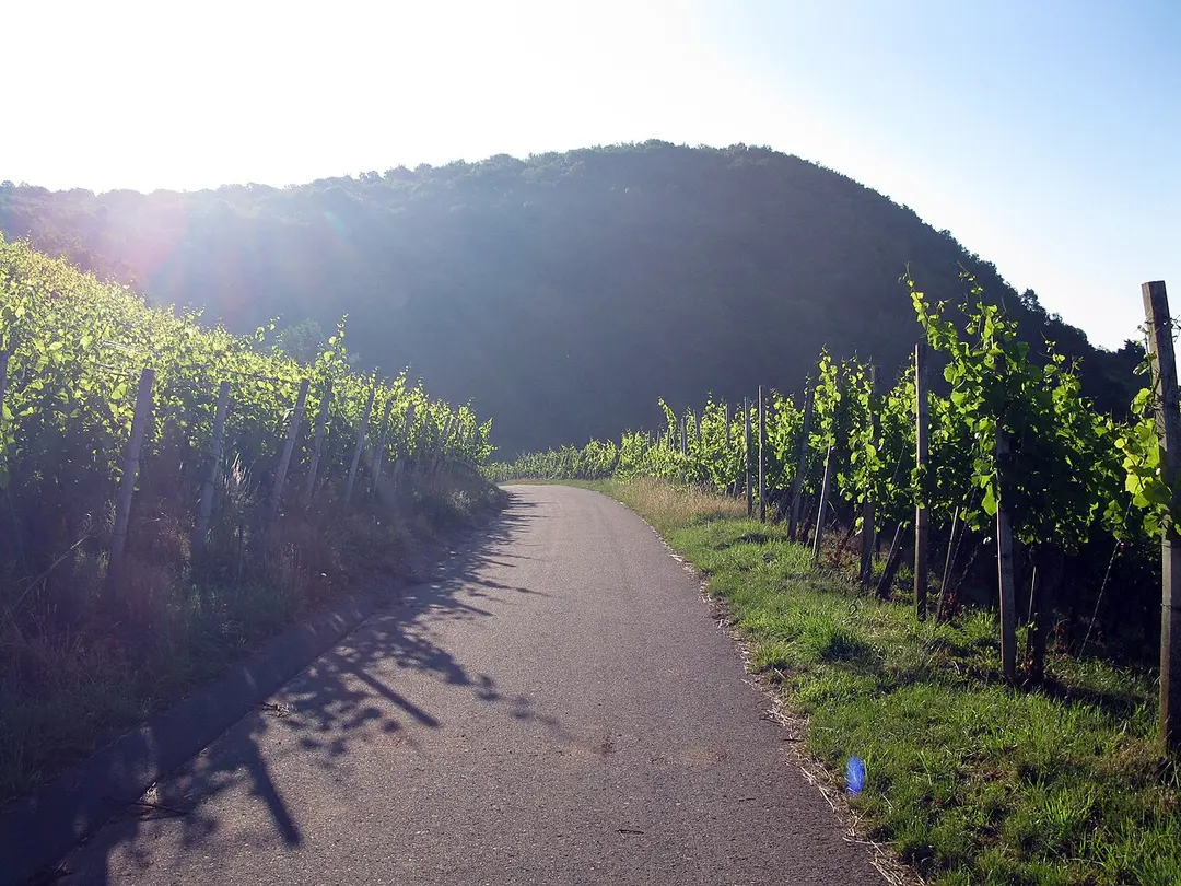 Pfaffenberg