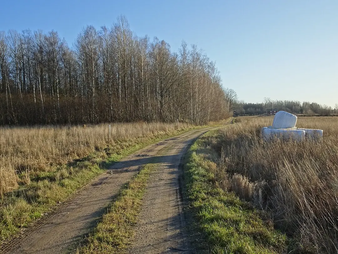 Strandhagen