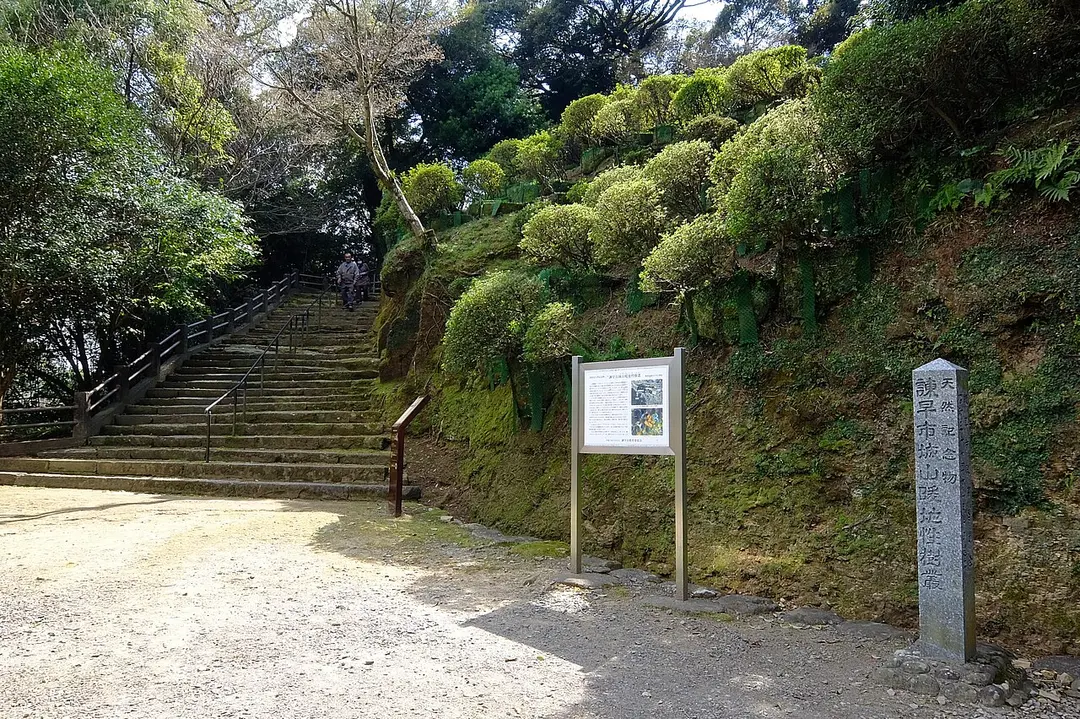 Isahaya Park