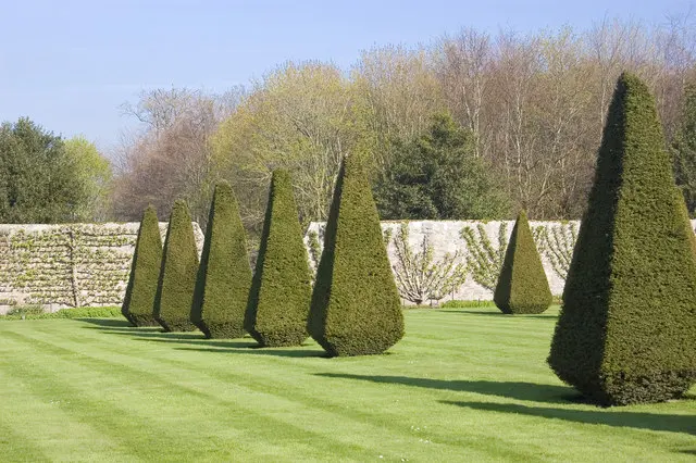 Pitmedden Garden