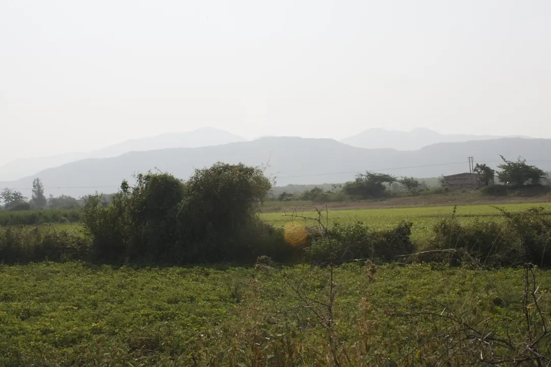 Gir National Park