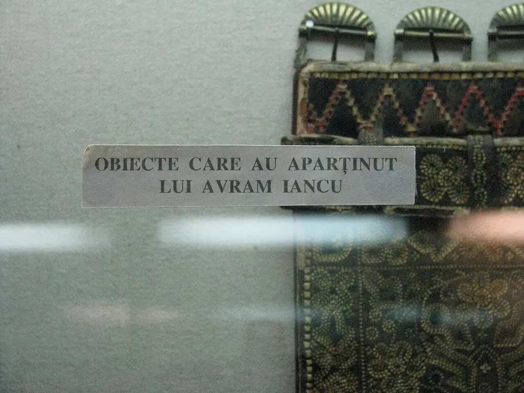 Avram Iancu 1824-1872