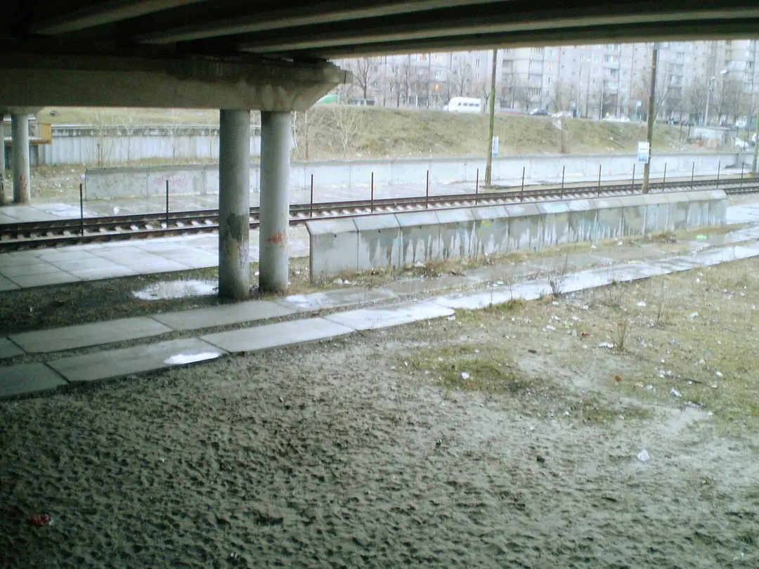 Сержа Лифаря