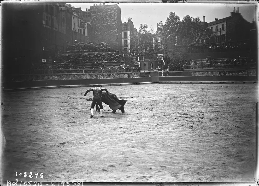 Cavae des Arènes de Lutèce