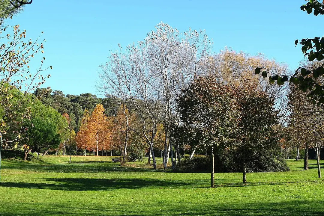 Parque da Cidade