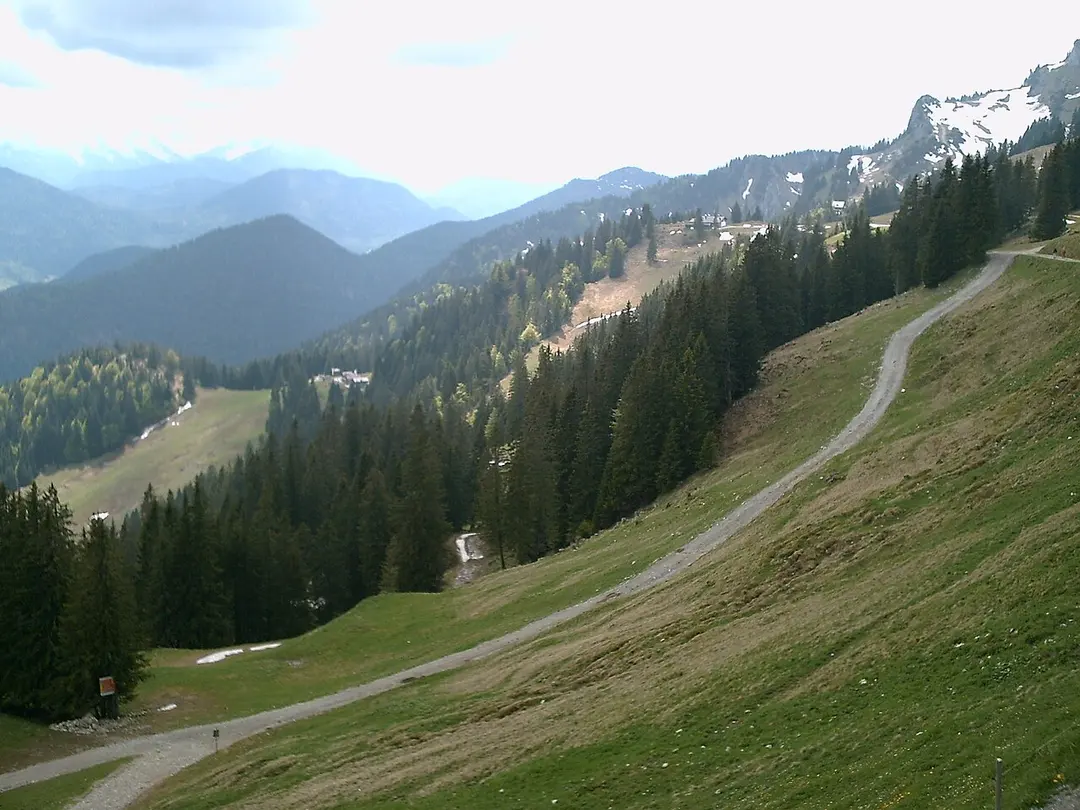 Brauneck