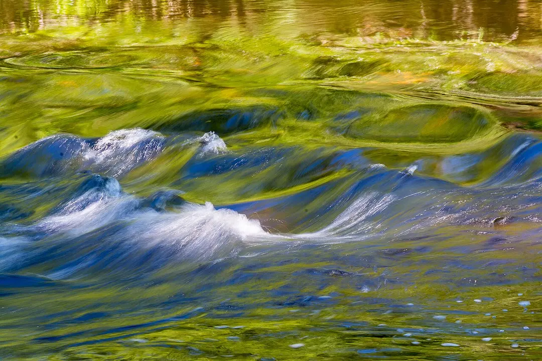 Säveåns naturreservat
