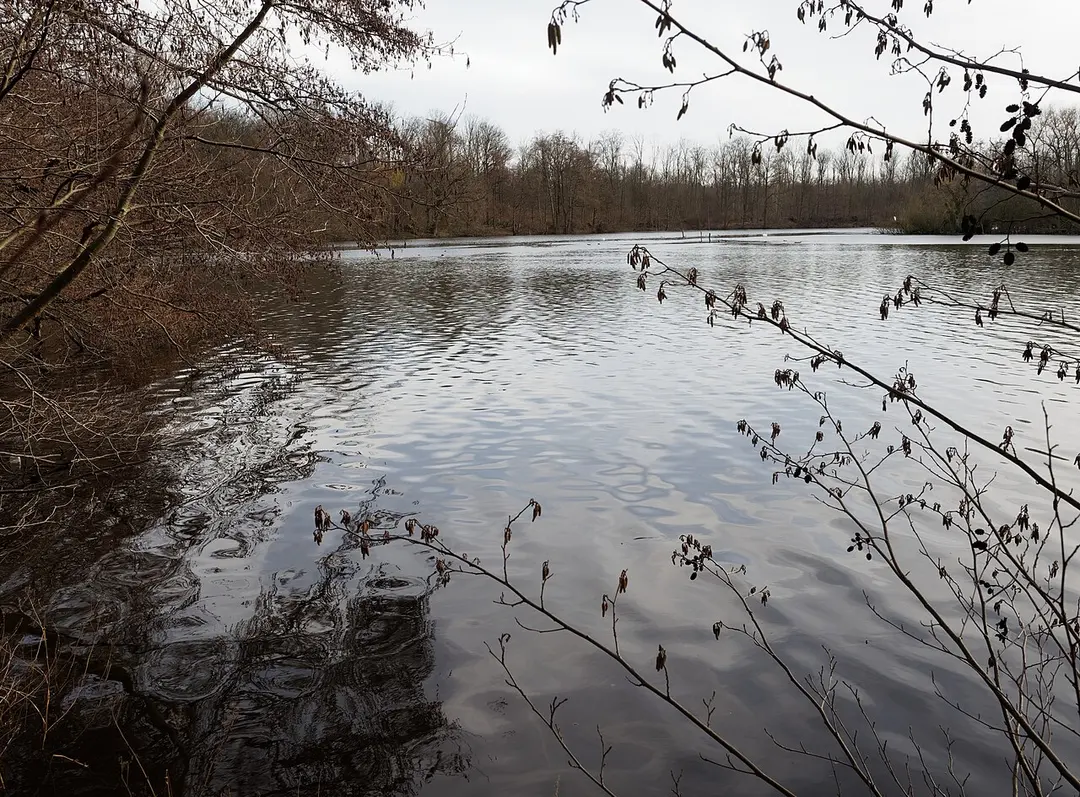 Emscherbruch mit Ewaldsee