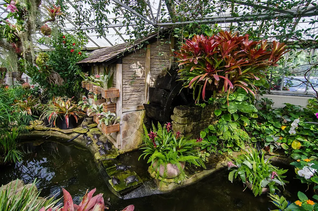 Allan Gardens