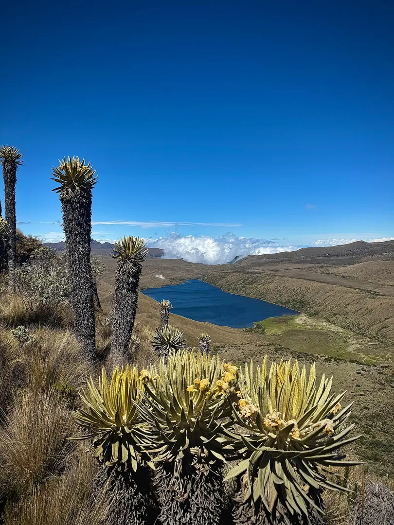 Lake Otún
