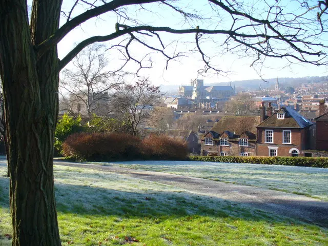 Joyce Gardens