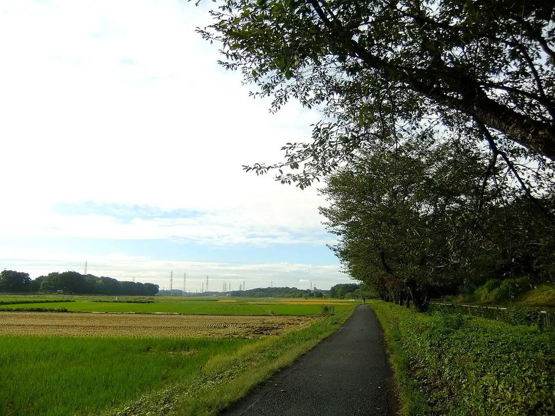 内牧公園