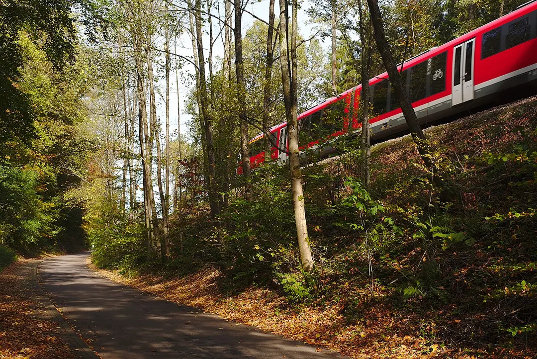 Würzbachbahn