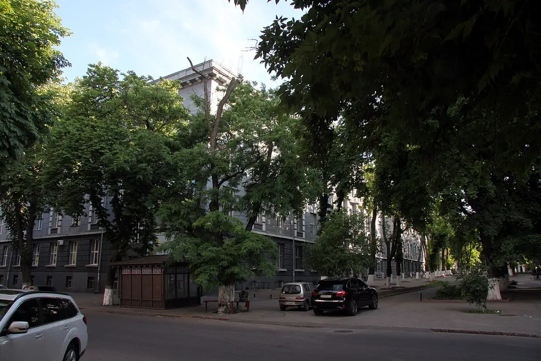 Universytetska Street