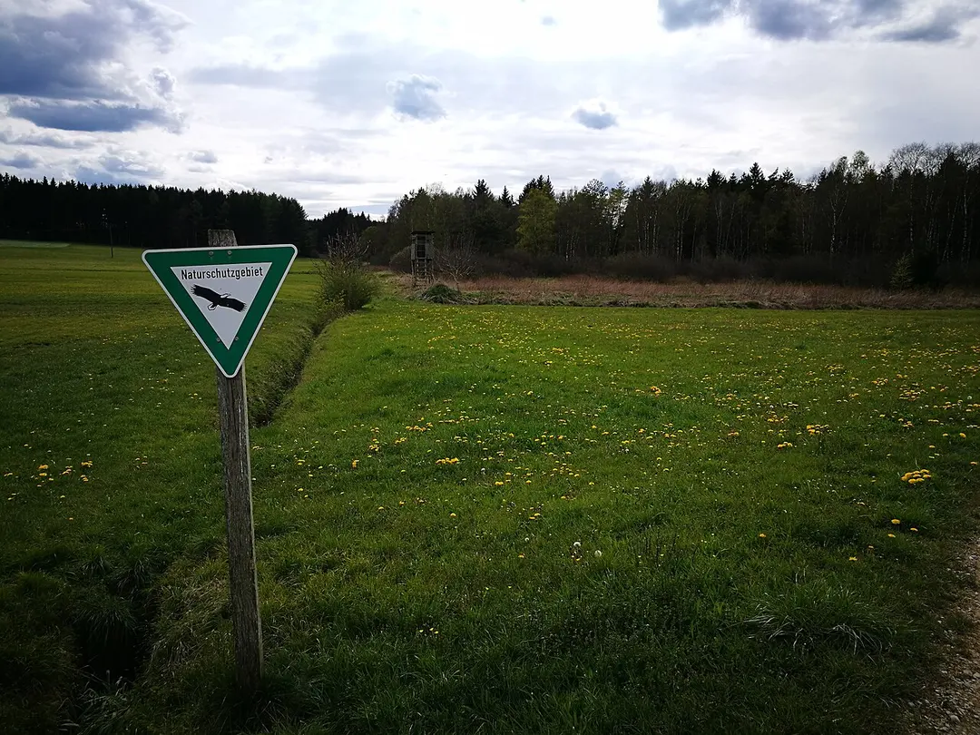 Waltere Moor