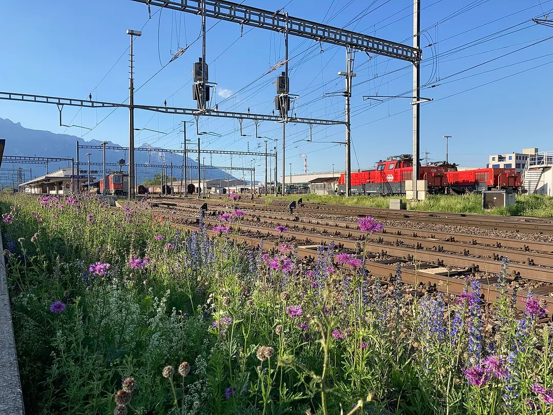 Bahnhof Buchs