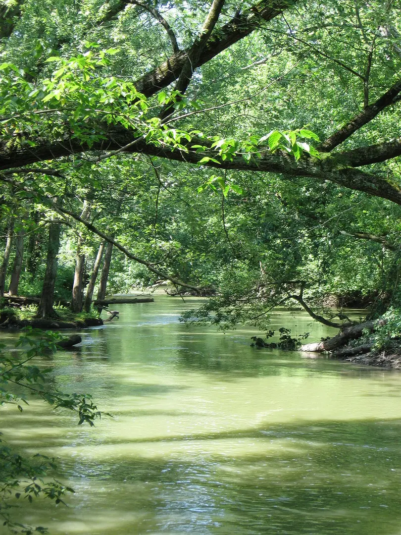 Fort Harrison State Park