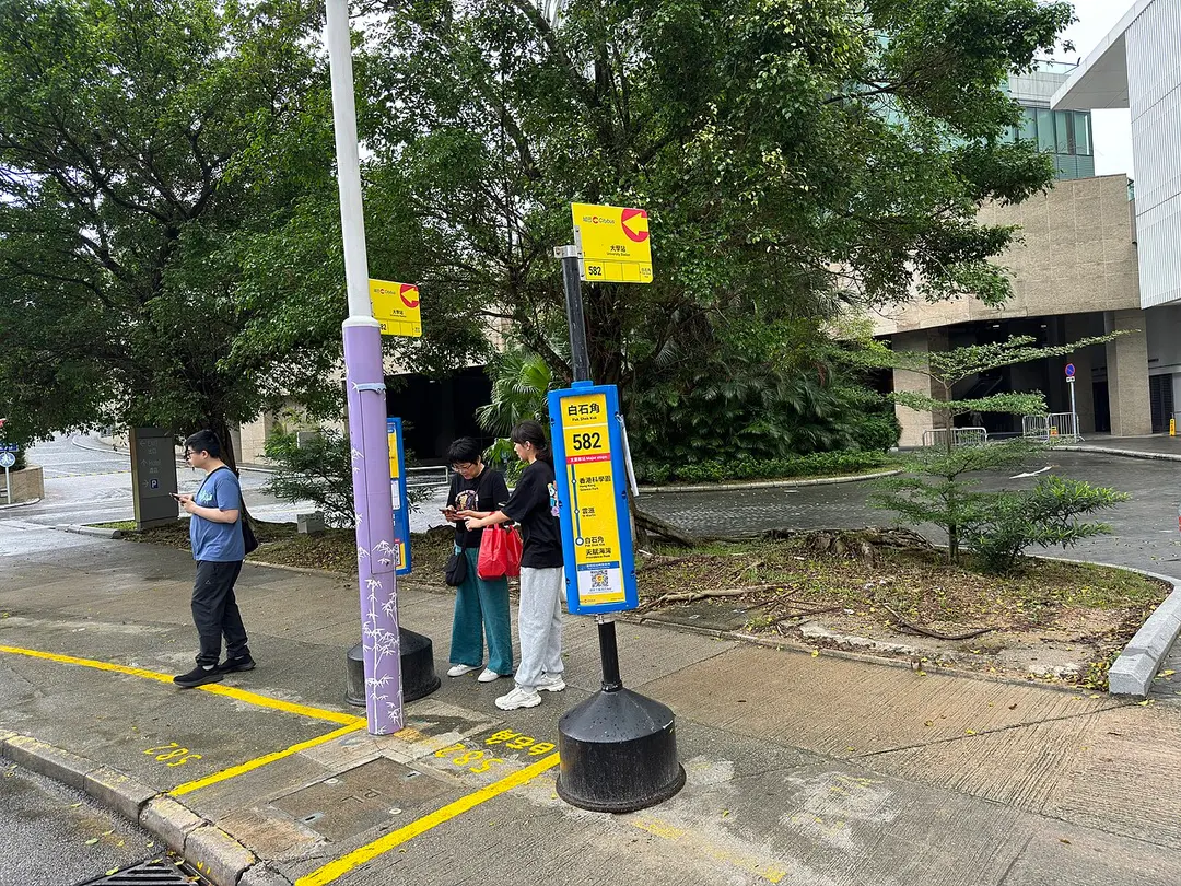 Universitet