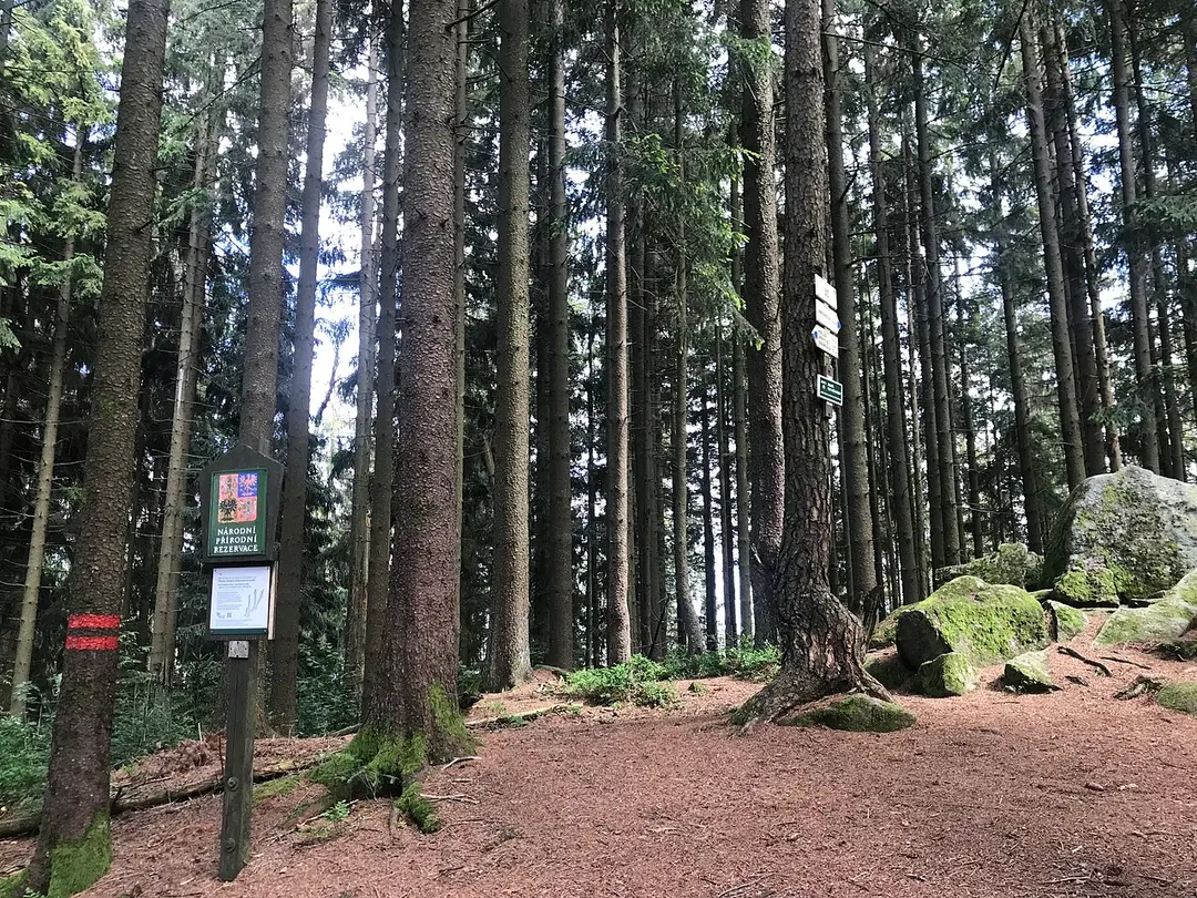 Kienberg